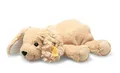 Steiff - 242595 Soft Cuddly Friends Floppy Lumpi Hund, Honey Yellow