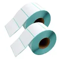 DynaSun 2600 Stück 10x5cm Thermo Etiketten auf Rolle 100x50 mm Kern 25 mm aussen gewickelt für Versandetiketten DPD, UPS, GLS und DHL