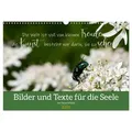 Bilder und Texte für die Seele (Wandkalender 2026 DIN A3 quer) CALVENDO Monatskalender von Tanja Schultz Fotografie/ Calvendo / Calvendo / Kalender