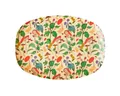 rice Teller Melamin Teller oval 30x22cm Snackteller Käseplatte