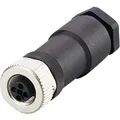ifm Electronic E12499 Sensor-/Aktor-Steckverbinder, unkonfektioniert Buchse, gerade Polzahl Sensoren: 4 1 St.