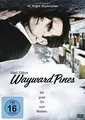 Wayward Pines: Ein guter Ort zum Sterben [3 DVDs] ZUSTAND SEHR GUT