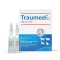 Traumeel LT Ampullen vet. (für Tiere) 25 ml