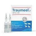 Traumeel® LT ad us. vet.