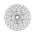 Campagnolo Zahnkranz-Kassette Ekar GT 13-fach, 10-48 Zähne, silber