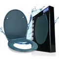 WENKO Toilettendeckel mit Absenkautomatik, oval, belastbar bis 175 kg, Abnehmbarer WC Sitz, Klodeckel aus antibakteriellem, stabilem Duroplast, einfache Montage, Mod. Samos, blau
