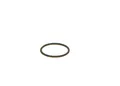 BOSCH Dichtring F 00V C38 002