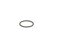 BOSCH Dichtring Für F00VC38002