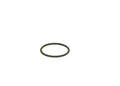 BOSCH Dichtring F 00V C38 002