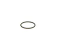 BOSCH (F 00V C38 002) Dichtring