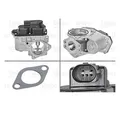 Valeo 700424 AGR-Ventil für VW Beetle Seat Altea Dodge Journey Audi Skoda Jeep