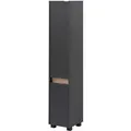Schildmeyer Hochschrank Cosmo (1-türig (Breite 30,2cm), Anthrazit)