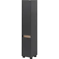 MÖBELPARTNER Badschrank Cosmo 146322 anthrazit 30,2 x 33,0 x 164,5 cm