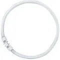 Osram Leuchtstoff Ringlampe T5 Fc40w 830 2gx13 Circular