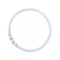Osram Leuchtstofflampe T5 FC 40W 830 Circline Ringröhre Lumilux warmweiß 2GX13