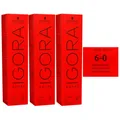 Schwarzkopf Igora Royal 3 x 60 ml 6-0 dunkelblond Haarfarbe Cremefarbe Set
