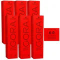 Schwarzkopf Igora Royal 6 x 60 ml 6-0 dunkelblond Haarfarbe Cremefarbe Set