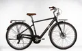 VENICE - I love Italy Elektro-Citybike OLIVER Man 28 Zoll, schwarz