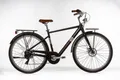 VENICE - I love Italy E-Bike Elektro-Citybike OLIVER Man 28 Zoll, 7 Gang Shimano, Kettenschaltung, Heckmotor, 378 Wh, Elektro-Citybike OLIVER Man 28 Zoll