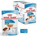Royal Canin Mini Puppy 12x85g Nassfutter in Sauce Kleine Welpen Bis 10 Monate