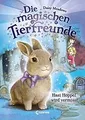 Die magischen Tierfreunde - Hasi Hoppel wird vermisst vo... | Buch | Zustand gut