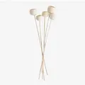 Sklum 5er Pack Dekorative Getrocknete Äste Von Aegle Weiss