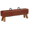 Vintage Turnbock Bank mit Griffen Echtes Ziegenleder Sitzbank Lederbank vidaXL