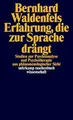 Erfahrung, die zur Sprache drängt: Studien zur Psychoana... | Buch | Zustand gut