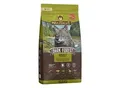 WOLFSBLUT Dark Forest Hund Trockenfutter, Adult Wild und Süßkartoffel 12,5 kg