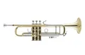 Bach 180-37 Stradivarius Trompete Messing lackiert
