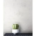 Newroom Vliestapete, Grau Tapete Beton Modern - Betonoptik Betonwand Weiß Zement Industrial für Schlafzimmer Wohnzimmer Küche weiß