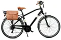 VENICE - I love Italy E-Bike, Elektro-Citybike MONOTUBO CLASSIC Man 28 Zoll, 6 Gang Shimano, Kettenschaltung, Heckmotor, 468 Wh, Elektro-Citybike MONOTUBO CLASSIC Man 28 Zoll
