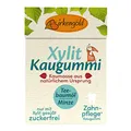Birkengold - Kaugummi mit natürlicher Kaumasse Teebaumöl - Minze 20 Stk. - 28 g - 12er Pack