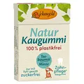 Birkengold - Kaugummi mit natürlicher Kaumasse Teebaumöl - Minze 20 Stk. - 28 g