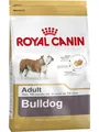 Royal Canin Bulldog Adult - dry dog food - 12 kg
