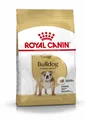 Royal Canin Bulldog Adult 12kg Spezialfutter für Englische Bulldogge