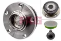 Schaeffler FAG Radlagersatz Radlager Satz Wheel Bearing Hinten 713 6107 00
