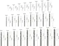 BOSCH Metallbohrer-Set ProBox HSS-G 25-teilig 2608587017