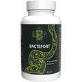 Bactefort - 60 Kapseln hochdosiert - Original Rezept aus der Schweiz - Vegan & Pflanzlich mit 22 Vitaminen & Mineralien - 1er Pack