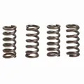 EBC Kupplungsfedern CSK122 für Suzuki M(VZR) 1800 R 2007 CA1111 125 PS