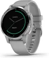 Garmin Vivoactive 4s 40 mm grau am Silikonarmband grau