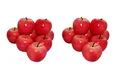 rukauf 16x Deko Äpfel Apfel ROT Kunstobst Kunstgemüse künstliches Obst Gemüse Früchte Dekoration