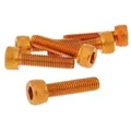 Bolzen Eloxierte 6-teilig M5x20 Innensechskant Schrauben in orange hexagon set