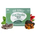 Four Sigmatic Chaga Mushroom Elixir | Coffee Alternative with Chaga Mushroom Powder, Rose Hips & Mint | Pack of 20