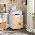 SoBuy Rollcontainer Bürowagen Bürocontainer Beistellwagen Aktenwagen ASK06-WN