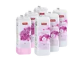 MIELE Set 6 UltraPhase FloralBoost (3x 1, 3x 2) Waschmittel