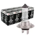 TECPO 10x H7 Halogen Lampe 12V 55W PX26d Autolampe Scheinwerfer Lampe Ersatzlampen Abblendlicht Fernlicht Nebellicht Glühbirne