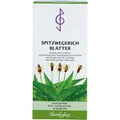 SPITZWEGERICHBLÄTTER Tee 75 g PZN12643217