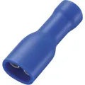 TRU COMPONENTS 737792 Flachsteckhülse Steckbreite: 4.8 mm Steckdicke: 0.5 mm 180 ° Vollisoliert Blau 50 St.