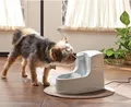 PetSafe Haustierbrunnen Drinkwell® - Mini Trinkbrunnen Hund Katze